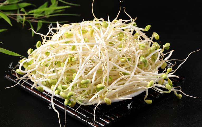 無(wú)公害綠色豆芽，怎么生產(chǎn)出來(lái)的？全套生產(chǎn)過(guò)程如此方便智能